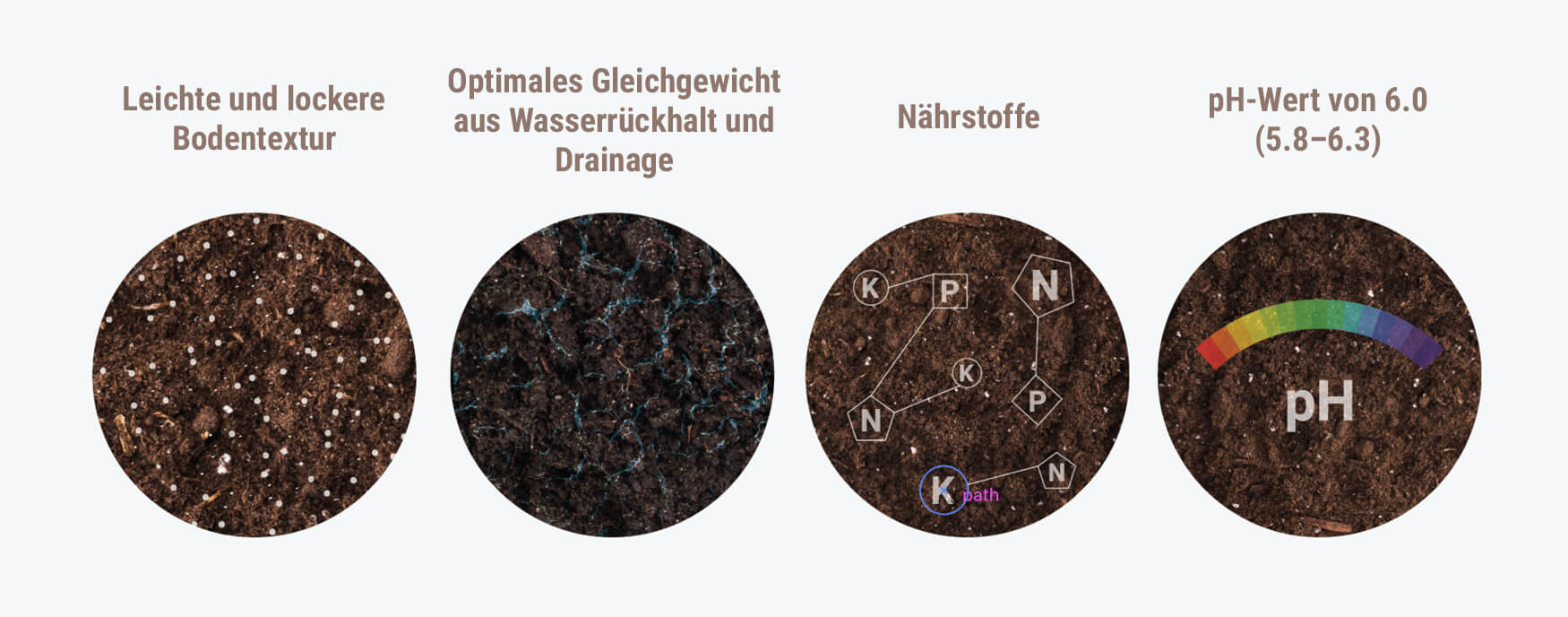 Die beste Erde für Cannabis wählen Ein Leitfaden für RQS Blog